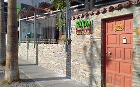 Palm Hostal